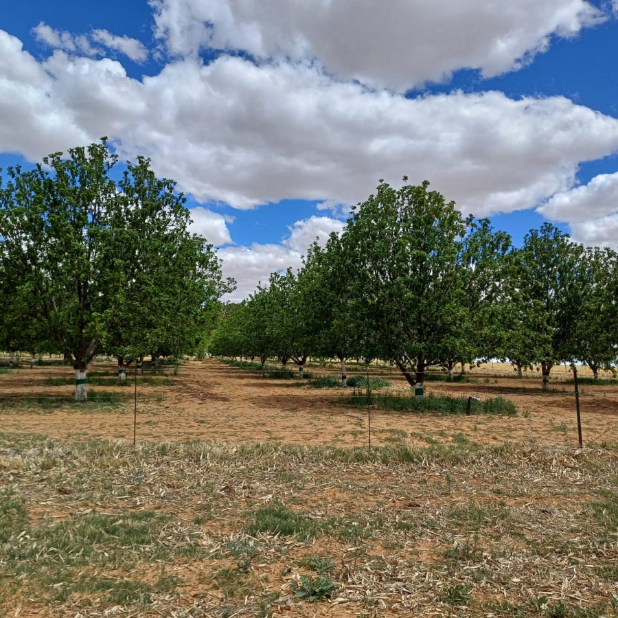 0 Bedroom Property for Sale in Bothaville Rural Free State